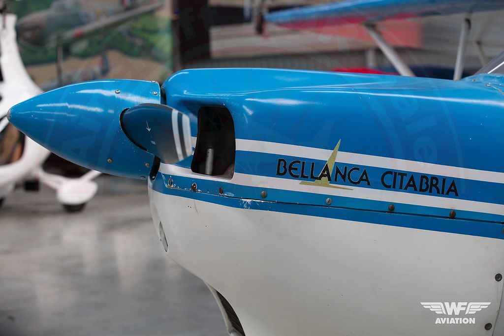Bellanca Citabria 7ECA, fotografía 6 de 12