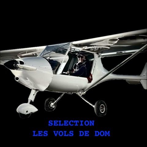 Flysynthesis Storch, photograph 3 of 3