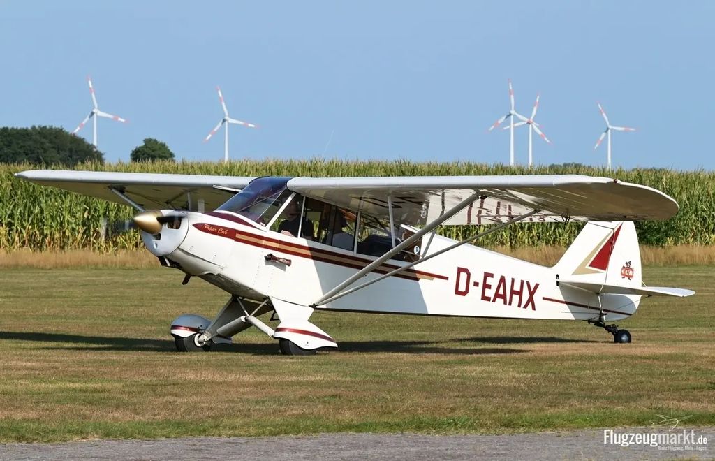Piper PA-18-95 Super Cub, fotografía 2 de 10