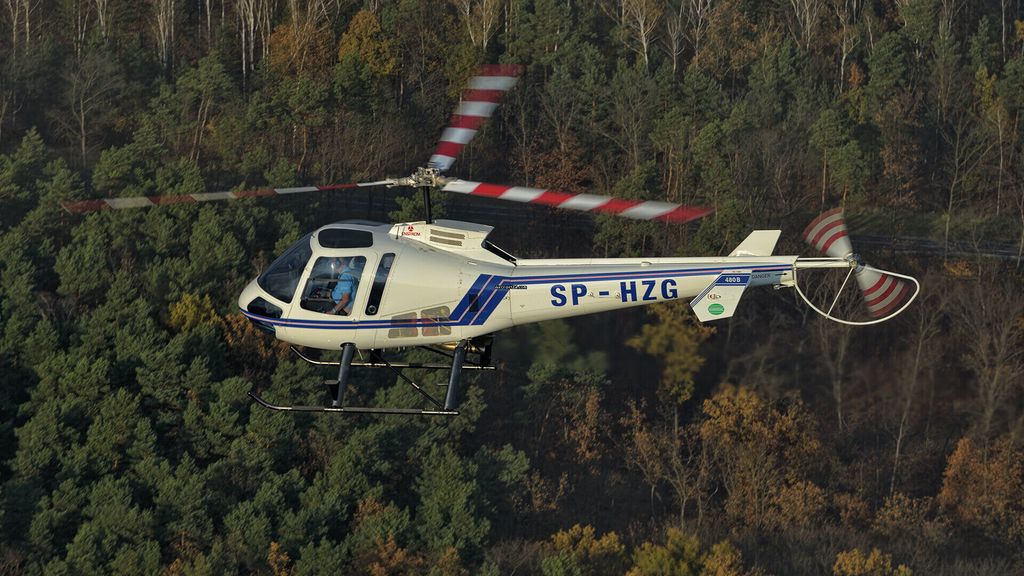 Enstrom Helicopter 408B, fotografía 6 de 9