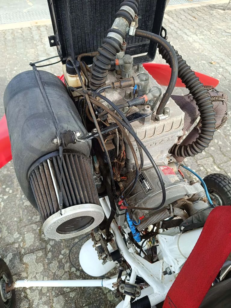 Viper VIPER TRIKE DOPPELSITZER, Foto 6 von 6
