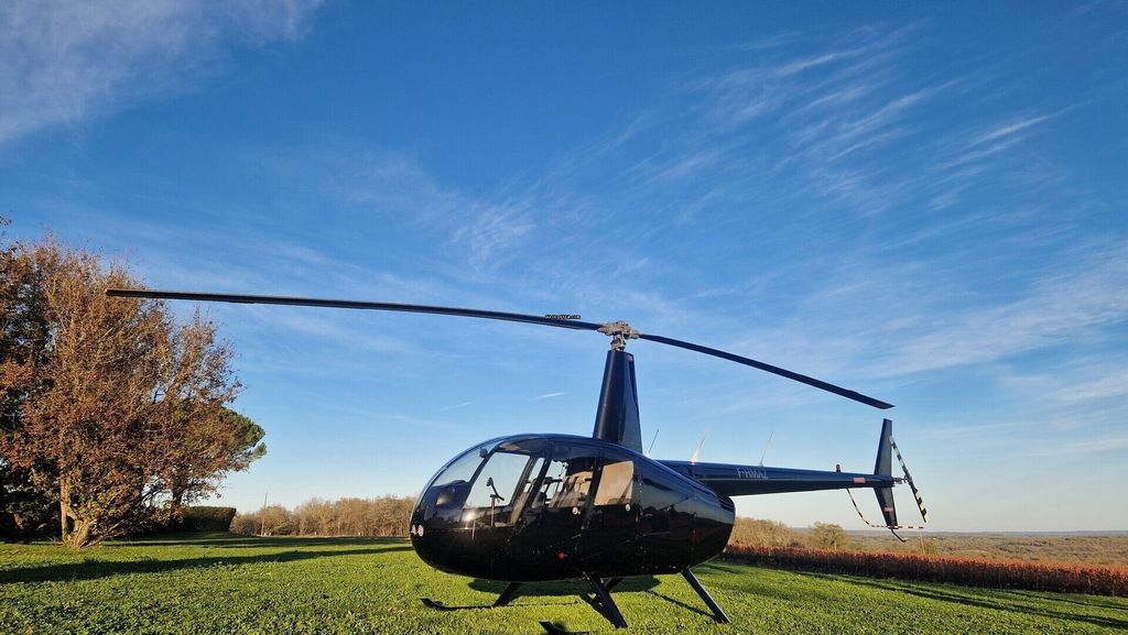 Robinson R44, fotografía 3 de 10