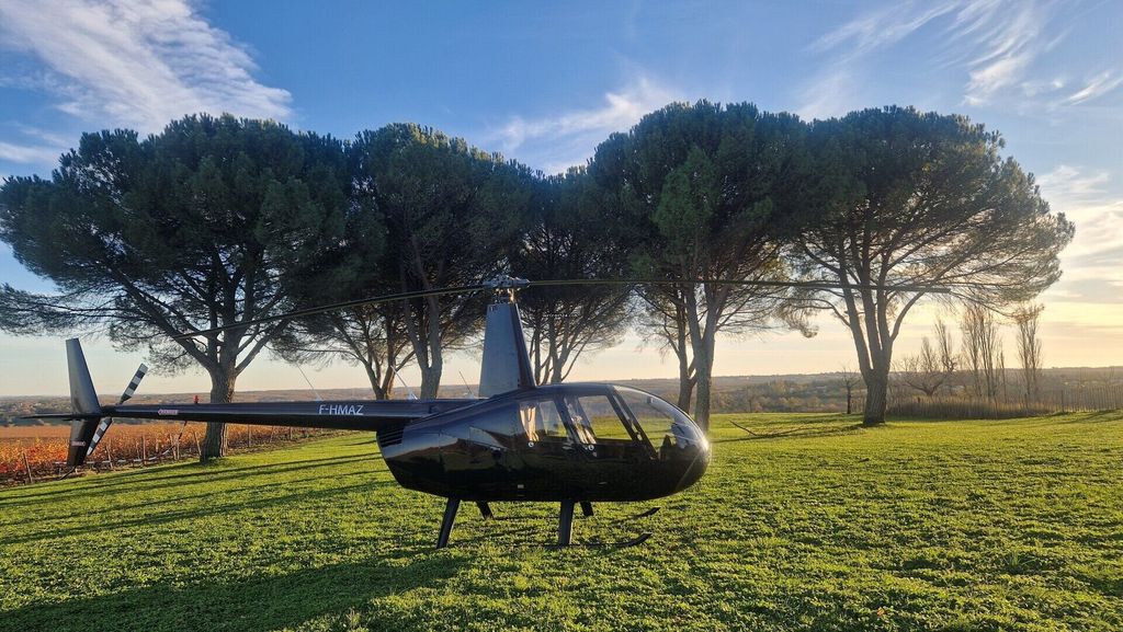 Robinson R44, fotografía 8 de 10