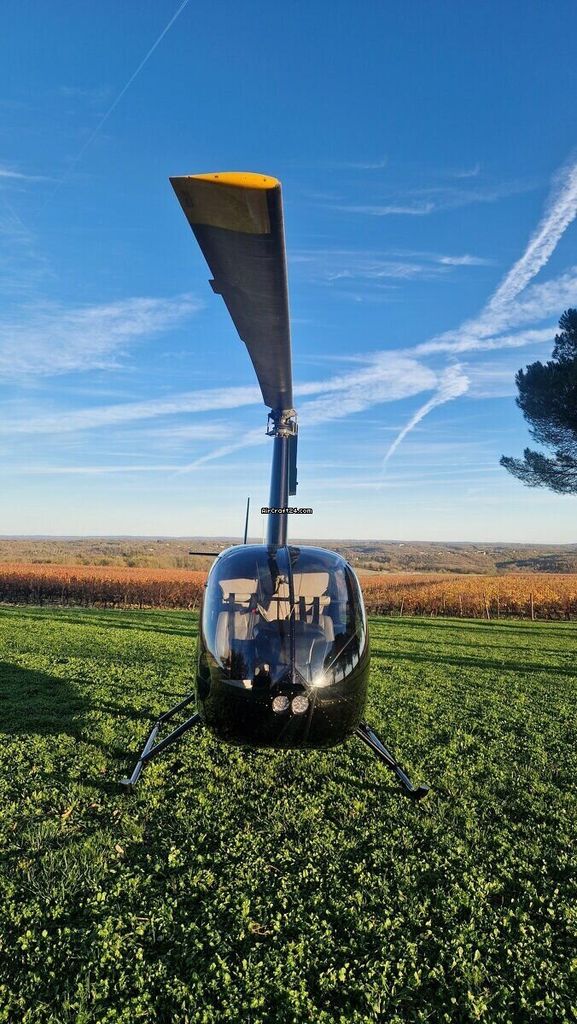 Robinson R44, fotografía 10 de 10