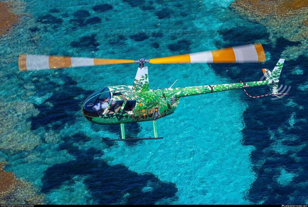 Robinson R44, fotografía 2 de 10