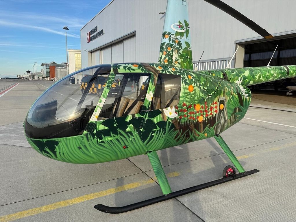 Robinson R44, fotografía 3 de 10