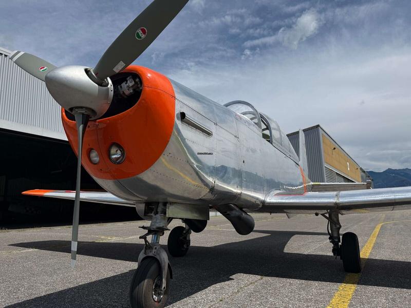 Pilatus P-3