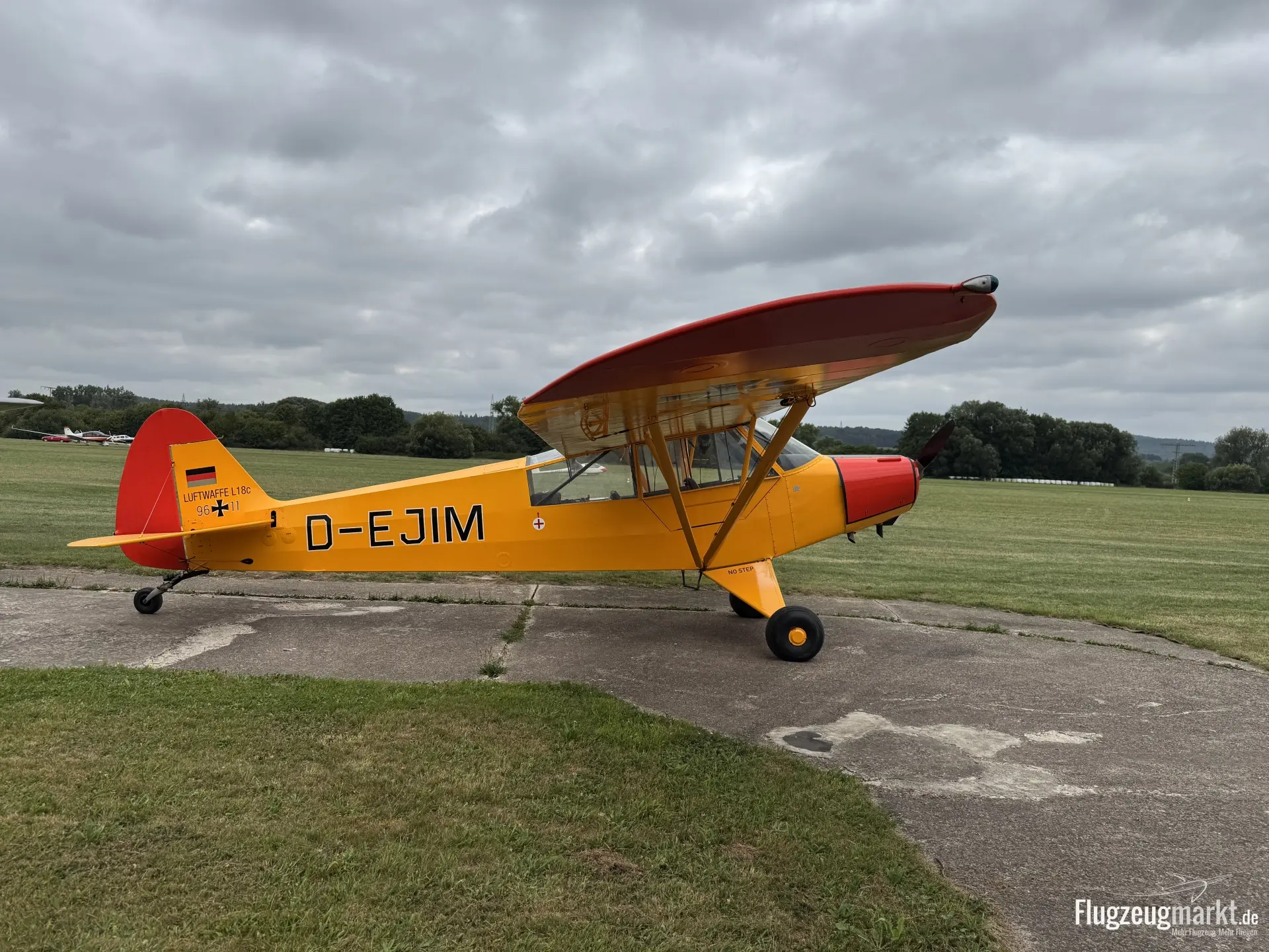 Piper PA-19