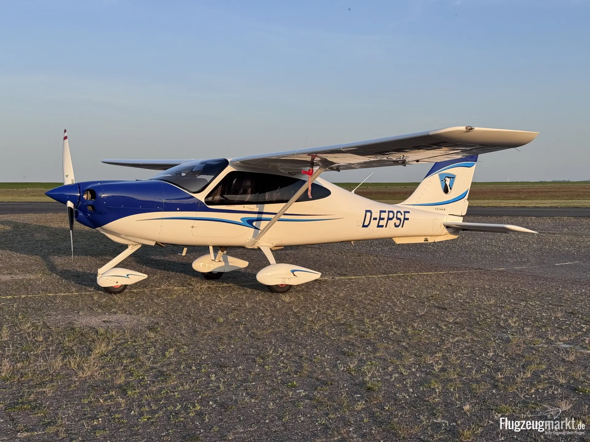 Tecnam P2010