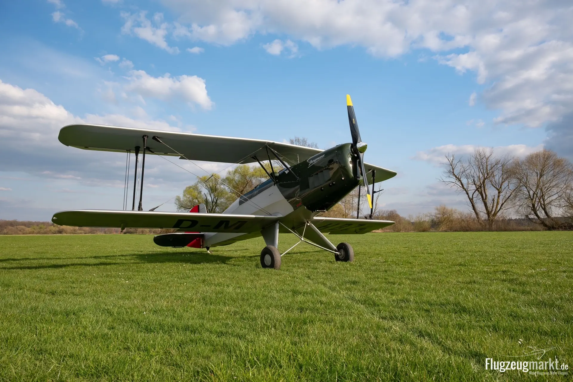 Bücker FK 131