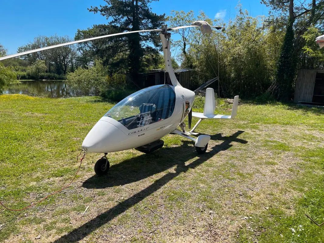AutoGyro Calidus