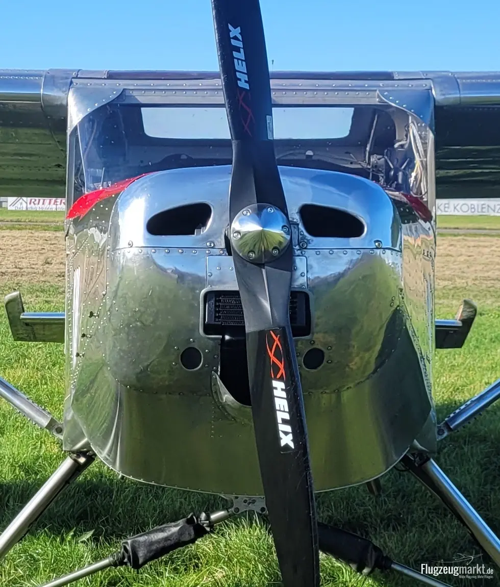 R.F. Kurtz Wild Thing WT 01