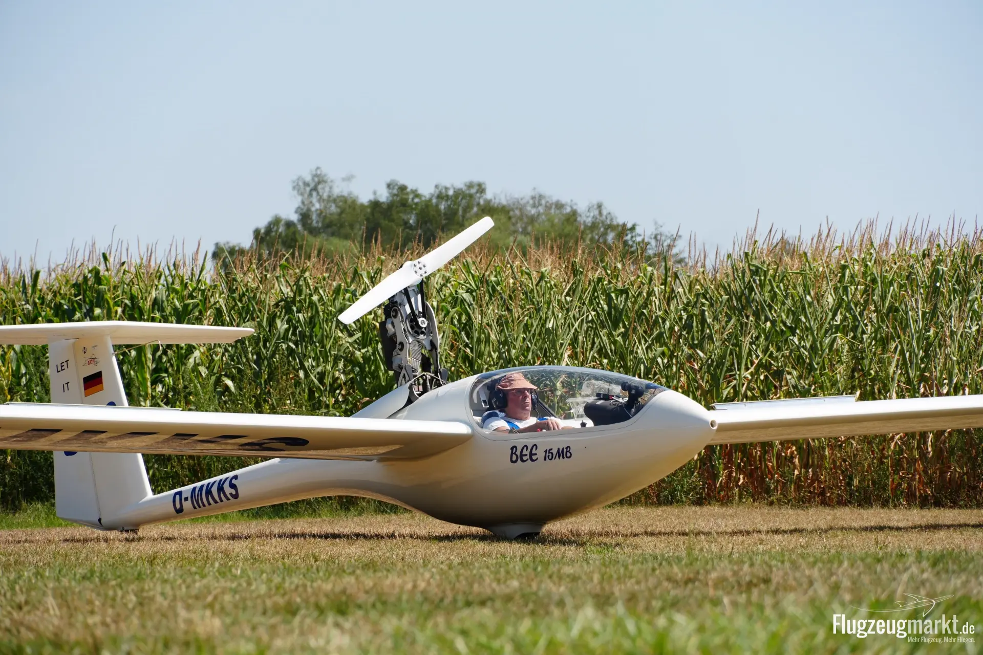 AMS Flight BEE 15