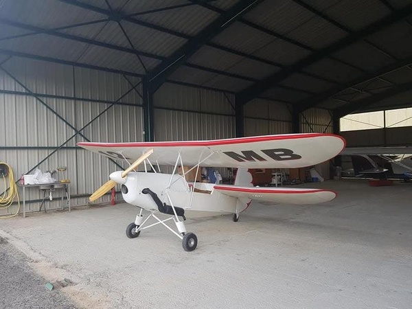 Pou du Ciel HM293