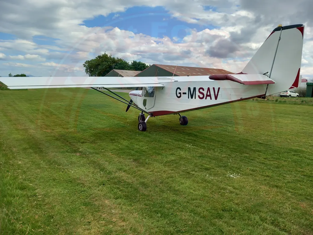ICP Savannah VG