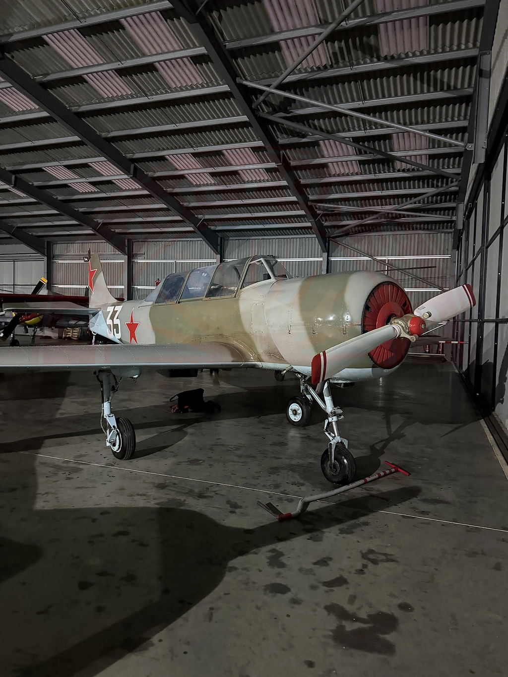 Yak 52