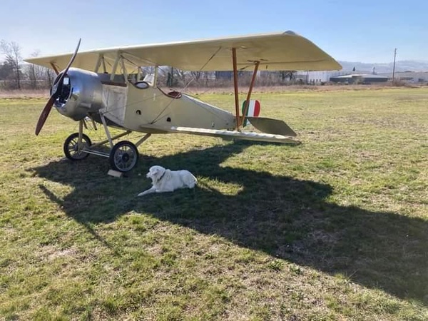 Nieuport 12