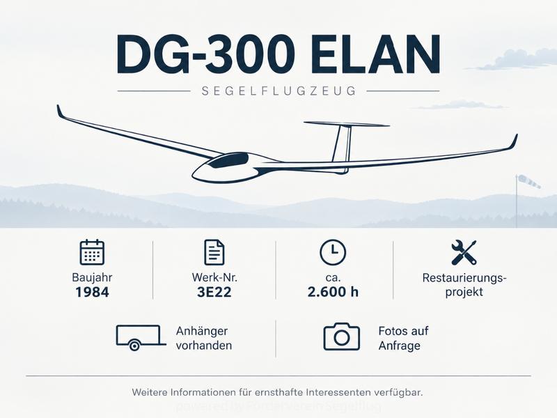 DG DG-300 Standard