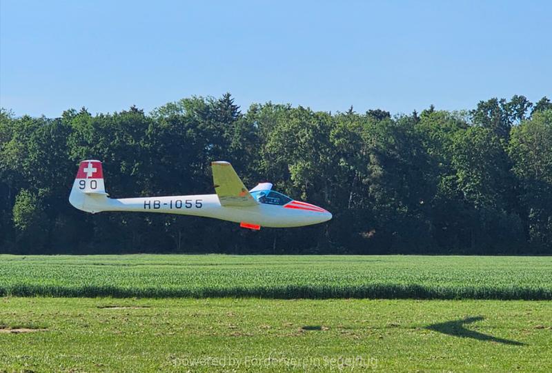 Glasflügel Standard Libelle