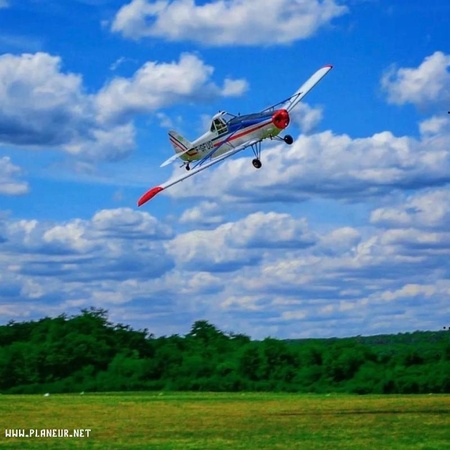 Piper PA-25