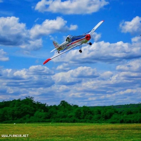 Piper PA-25